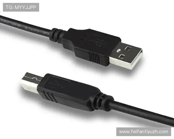 稳定高效的PA视讯登录流程，确保每次登录都顺畅无阻